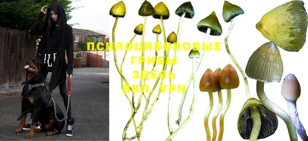 каннабис Зеленодольск