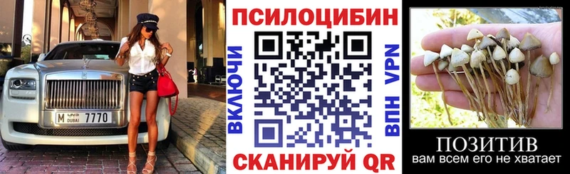 Псилоцибиновые грибы мицелий  Купить закладки  Саранск 