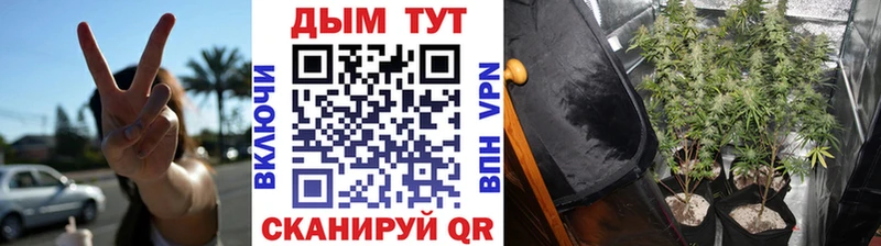 МАРИХУАНА Ganja  Купить  Саранск 